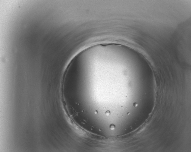 X0000069381530200605262037