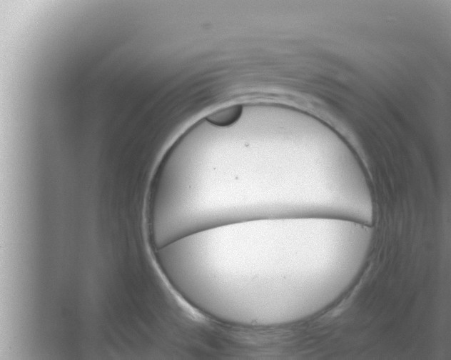 X0000069381533200605262037