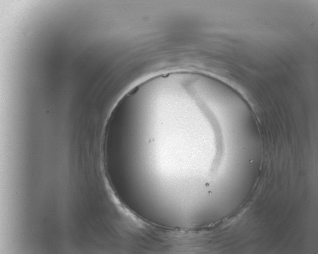 X0000069381534200605262037