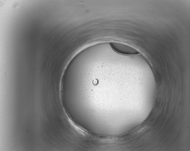 X0000069381535200605262037