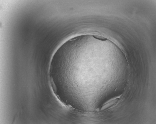 X0000069381536200605262037