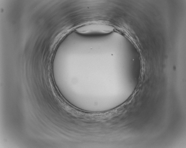 X0000069380001200606021618