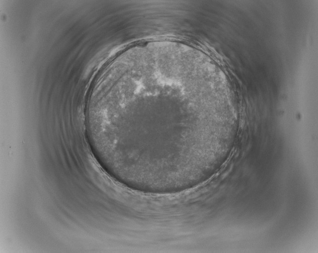 X0000069380002200606021618