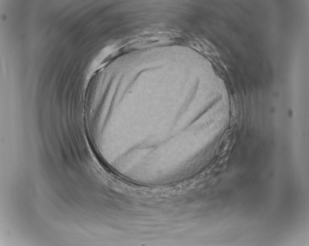 X0000069380003200606021618