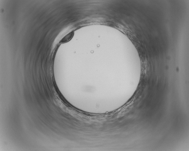 X0000069380004200606021618