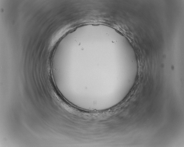 X0000069380005200606021618