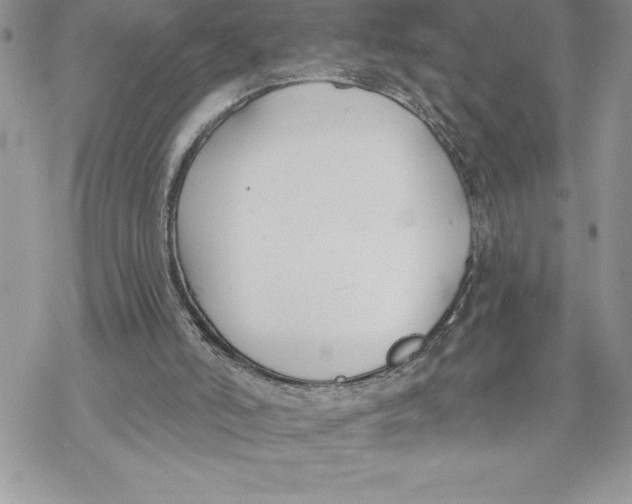 X0000069380006200606021618