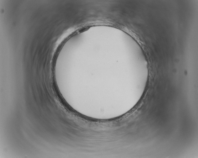 X0000069380008200606021618