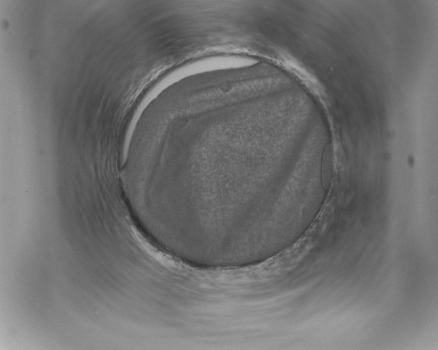 X0000069380009200606021618