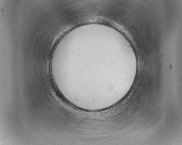 X0000069380010200606021618