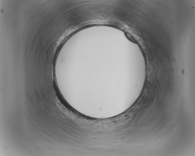 X0000069380011200606021618