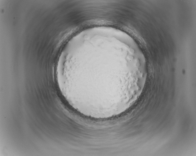 X0000069380014200606021618