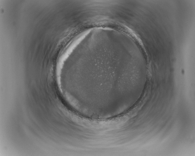 X0000069380018200606021618