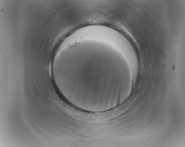 X0000069380019200606021618