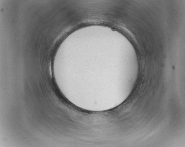 X0000069380020200606021618