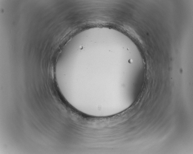 X0000069380021200606021618