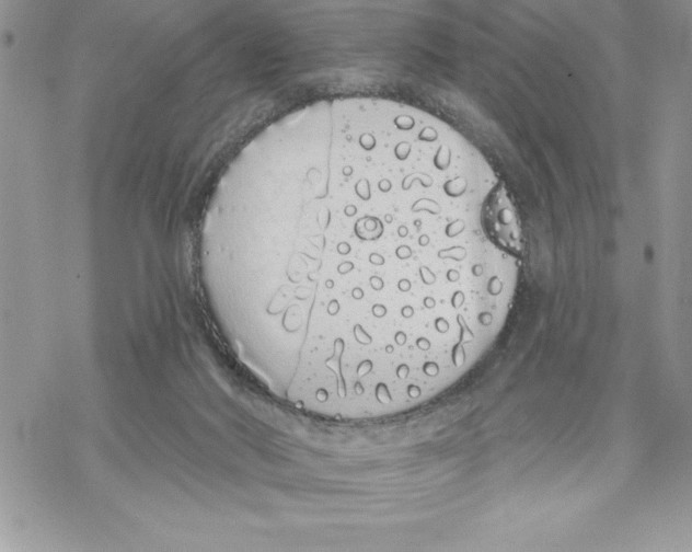 X0000069380022200606021618