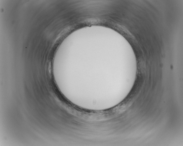 X0000069380024200606021618