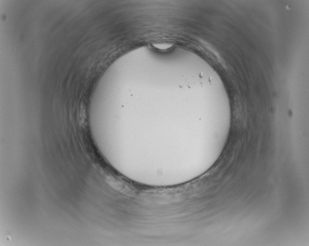 X0000069380025200606021618