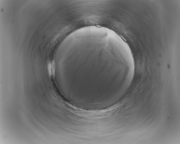 X0000069380027200606021618