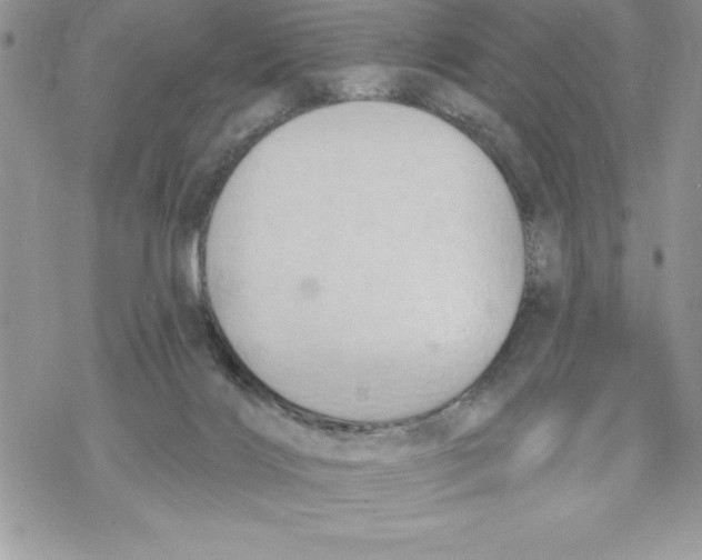 X0000069380028200606021618