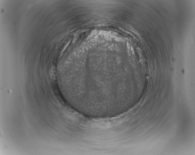 X0000069380029200606021618