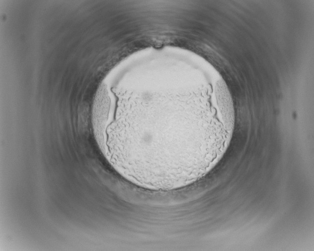 X0000069380030200606021618