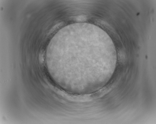 X0000069380032200606021618