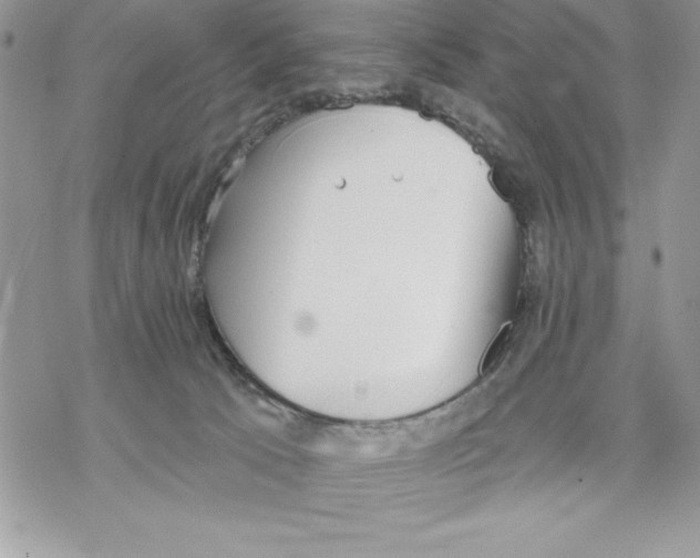 X0000069380033200606021618