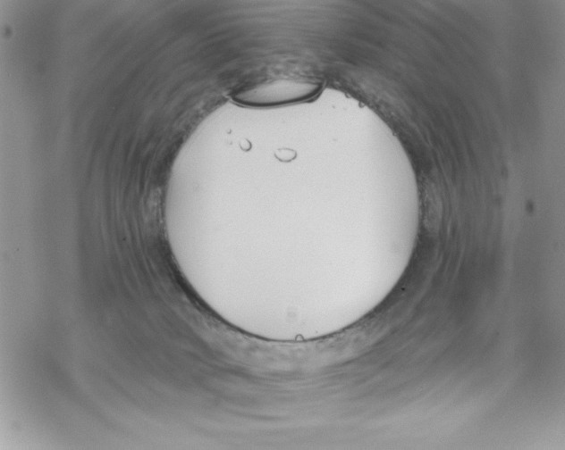 X0000069380034200606021618