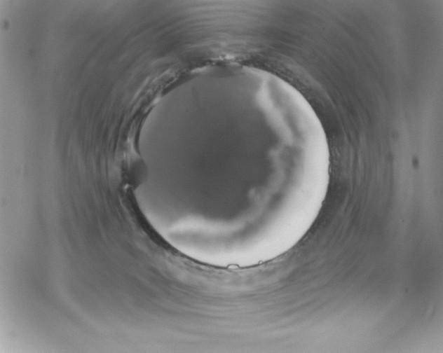 X0000069380035200606021618