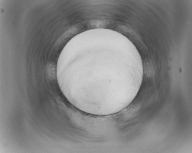 X0000069380036200606021618