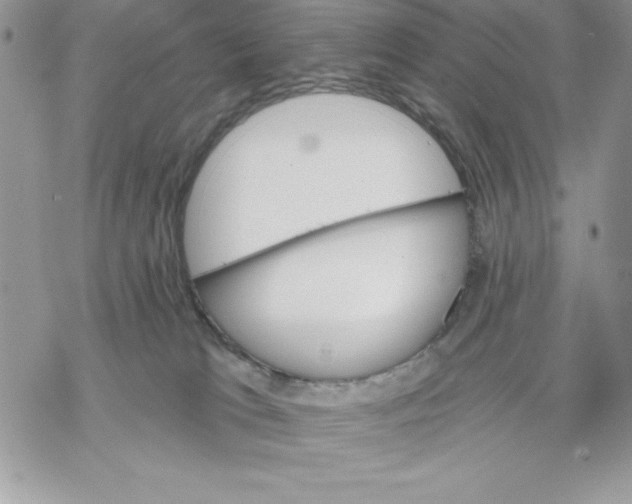 X0000069380037200606021618