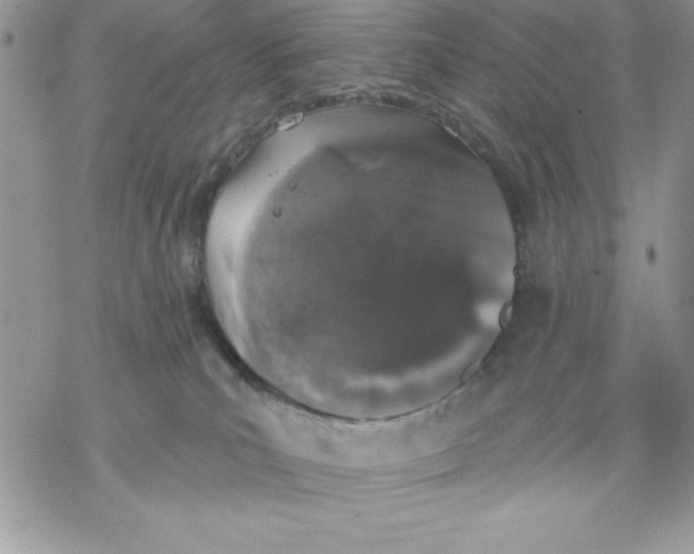 X0000069380039200606021618