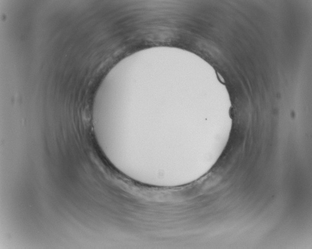 X0000069380040200606021618