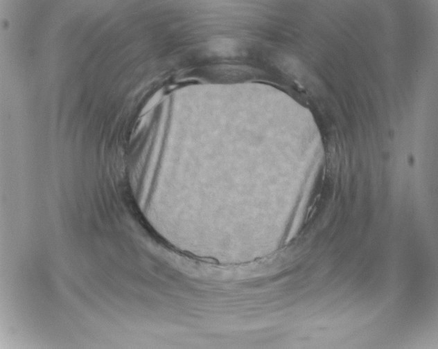 X0000069380043200606021618