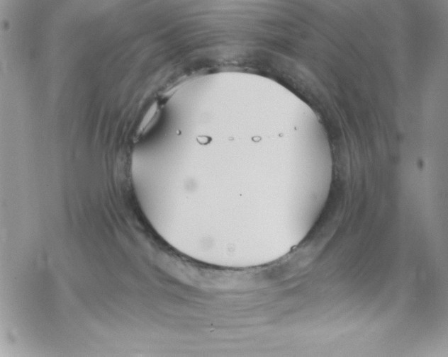 X0000069380044200606021618