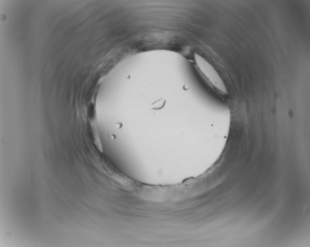 X0000069380045200606021618