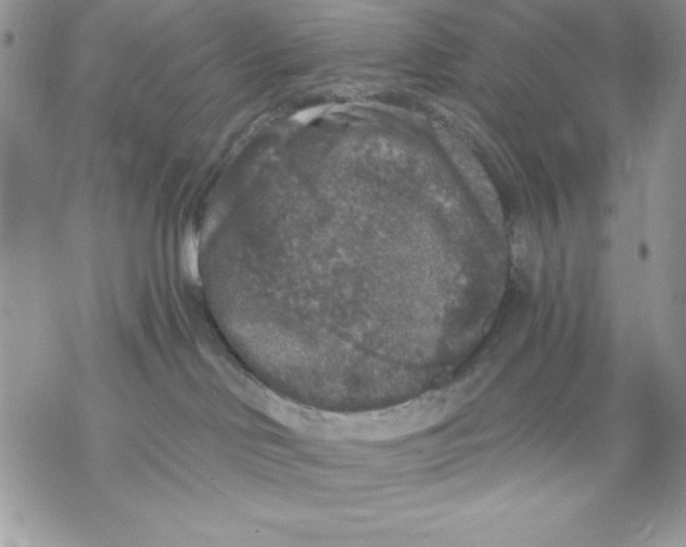 X0000069380046200606021618