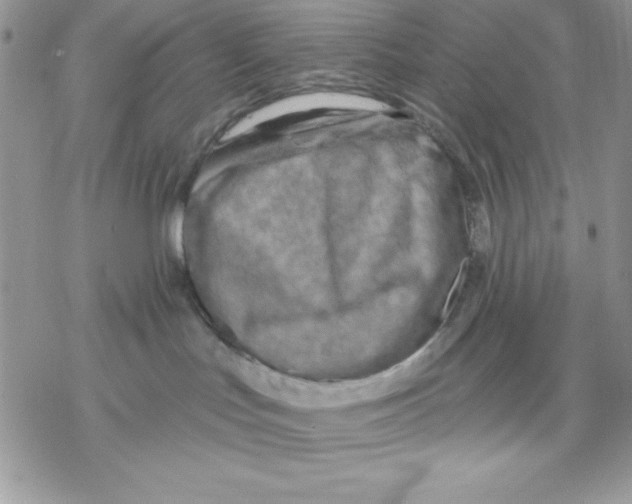 X0000069380047200606021618