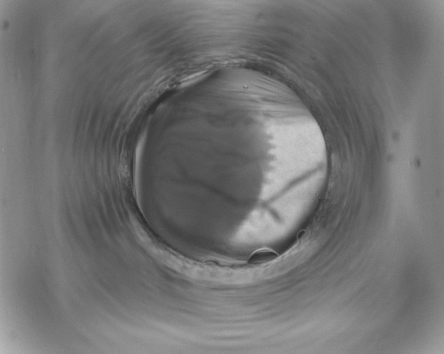 X0000069380048200606021618