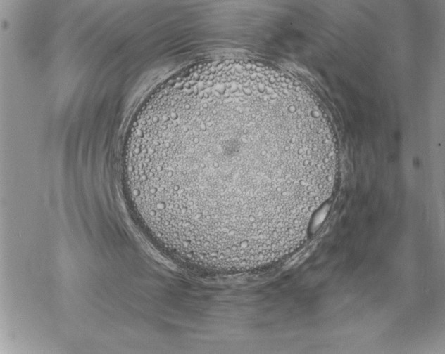 X0000069380049200606021617