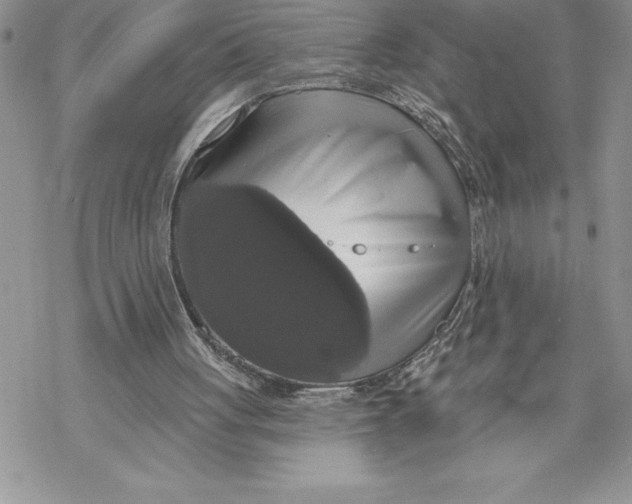 X0000069380051200606021617