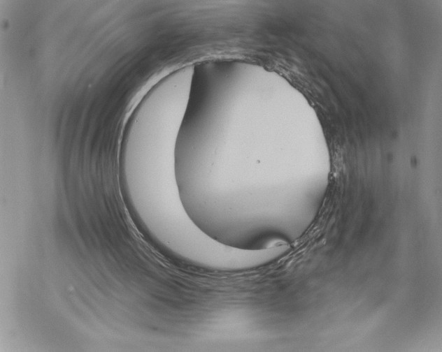 X0000069380052200606021617