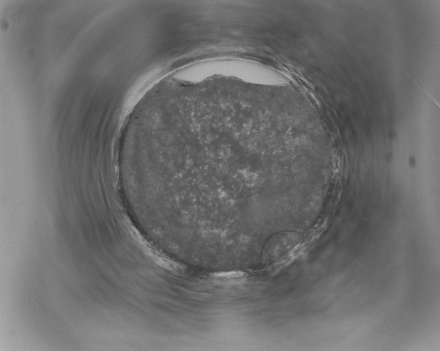 X0000069380053200606021617