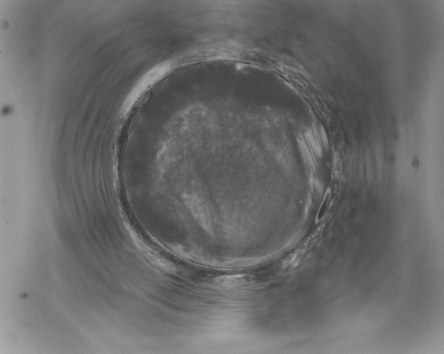 X0000069380054200606021617