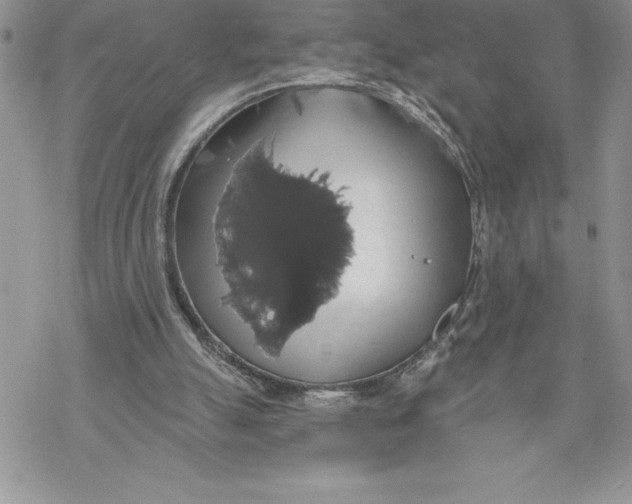 X0000069380055200606021617