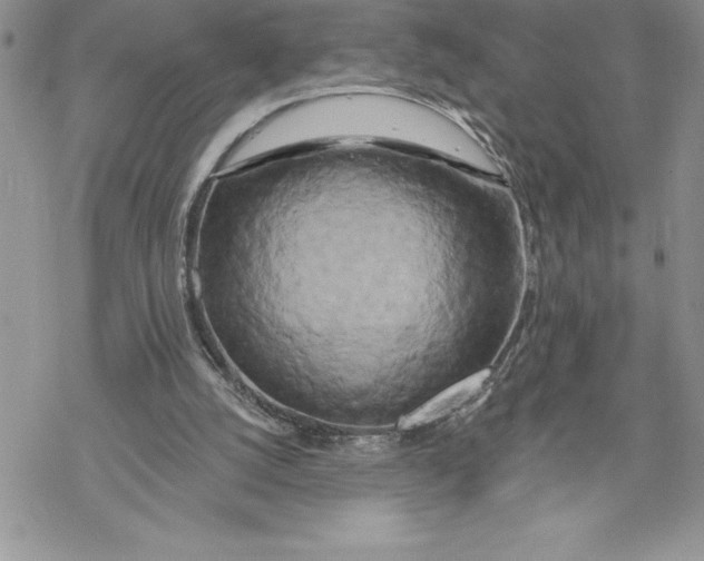 X0000069380056200606021617