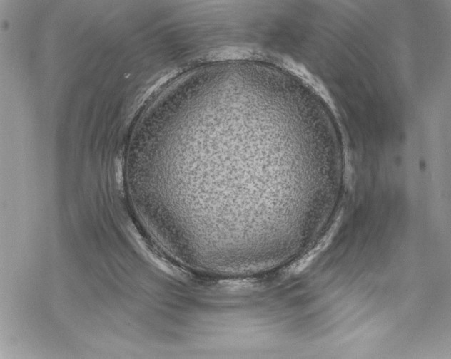 X0000069380057200606021617