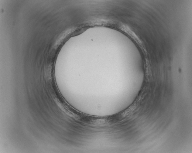 X0000069380058200606021617